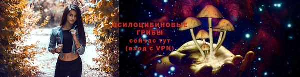индика Михайлов