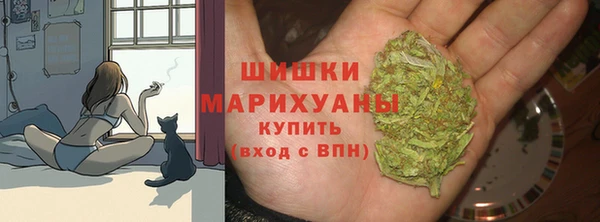 тгк Михайловск