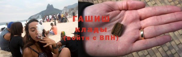 индика Михайлов