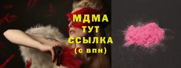 индика Михайлов