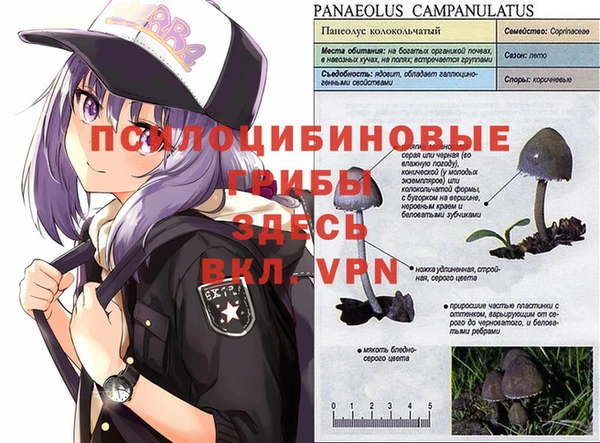 тгк Михайловск