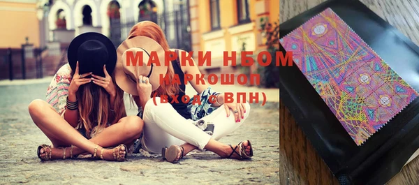 индика Михайлов