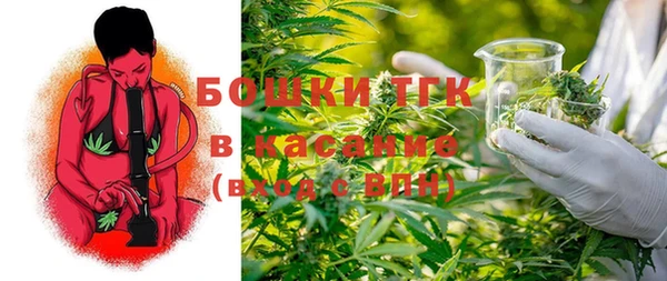 тгк Михайловск