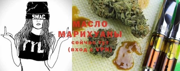 индика Михайлов