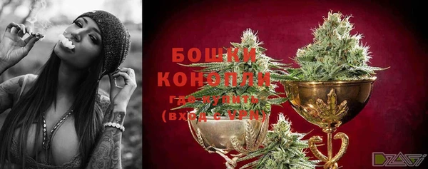 индика Михайлов