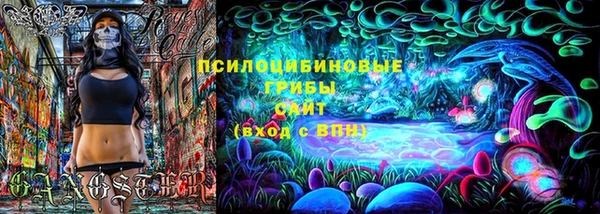 тгк Михайловск