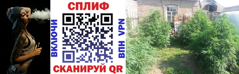 Бошки Шишки Ganja  omg tor  Удомля 